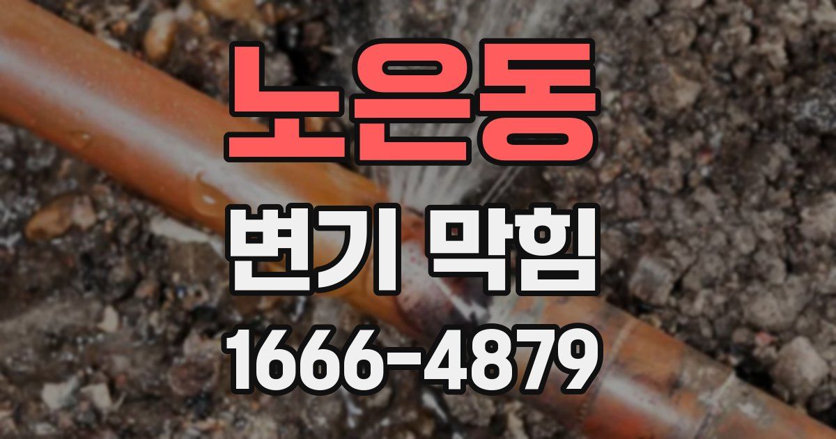 노은동 변기 막힘