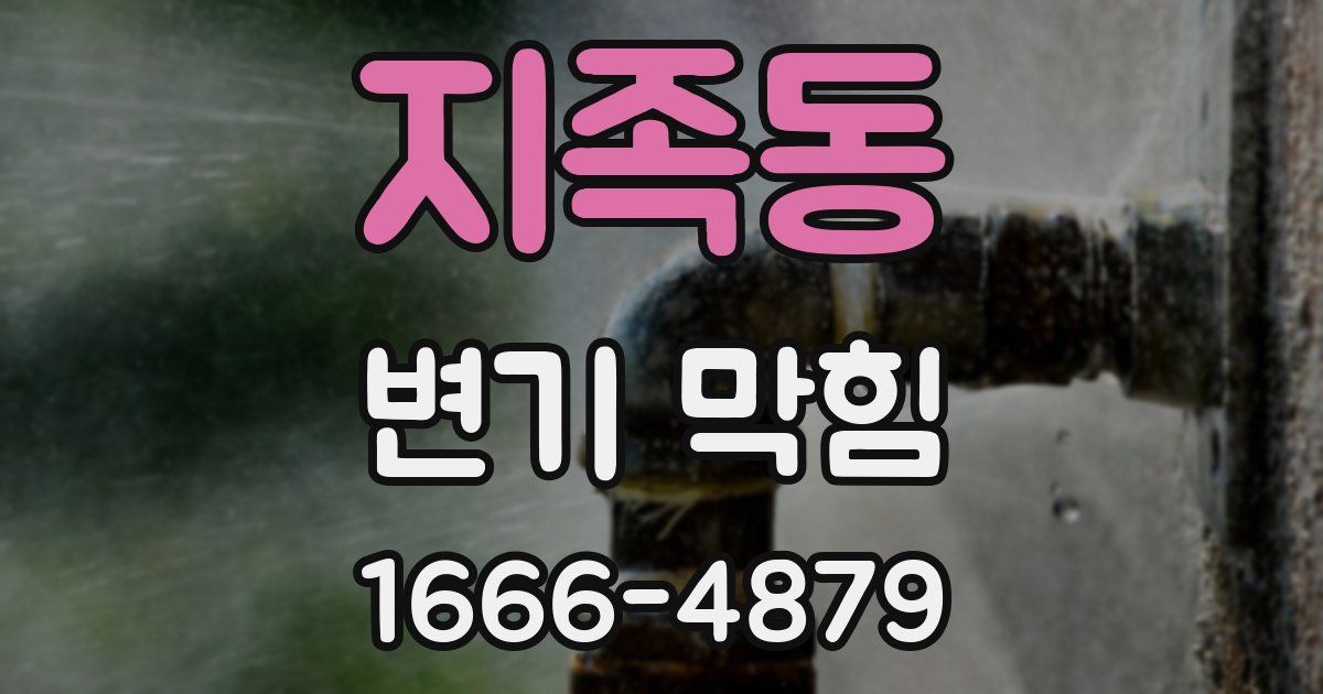 지족동 변기 막힘