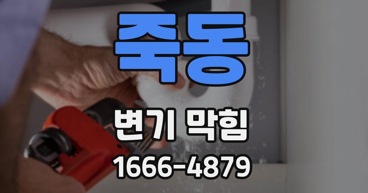 죽동 변기 막힘