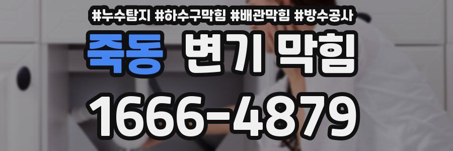 죽동 변기 막힘
