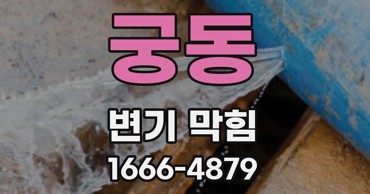 궁동 변기 막힘