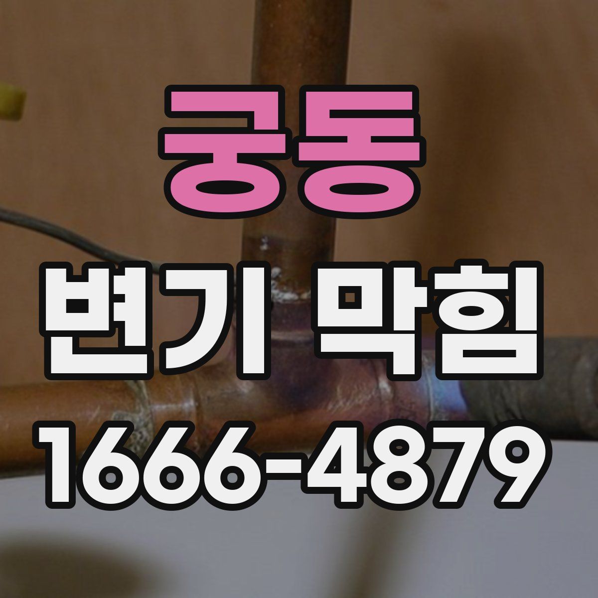 궁동 변기 막힘