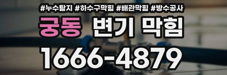 궁동 변기 막힘