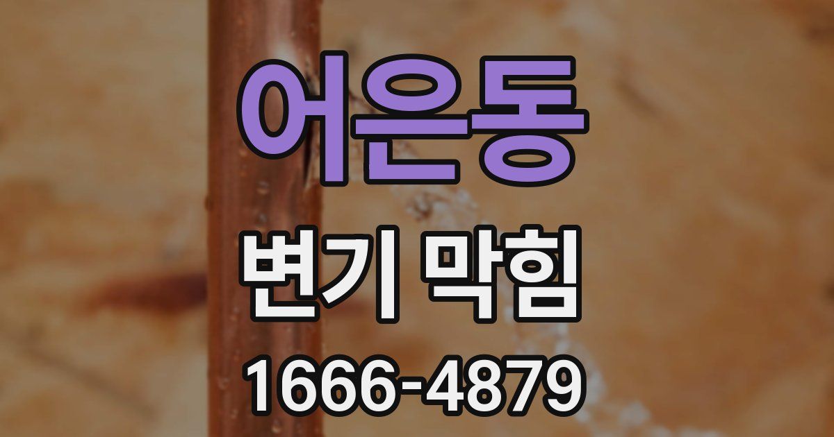 어은동 변기 막힘