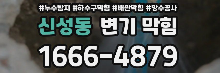 신성동 변기 막힘