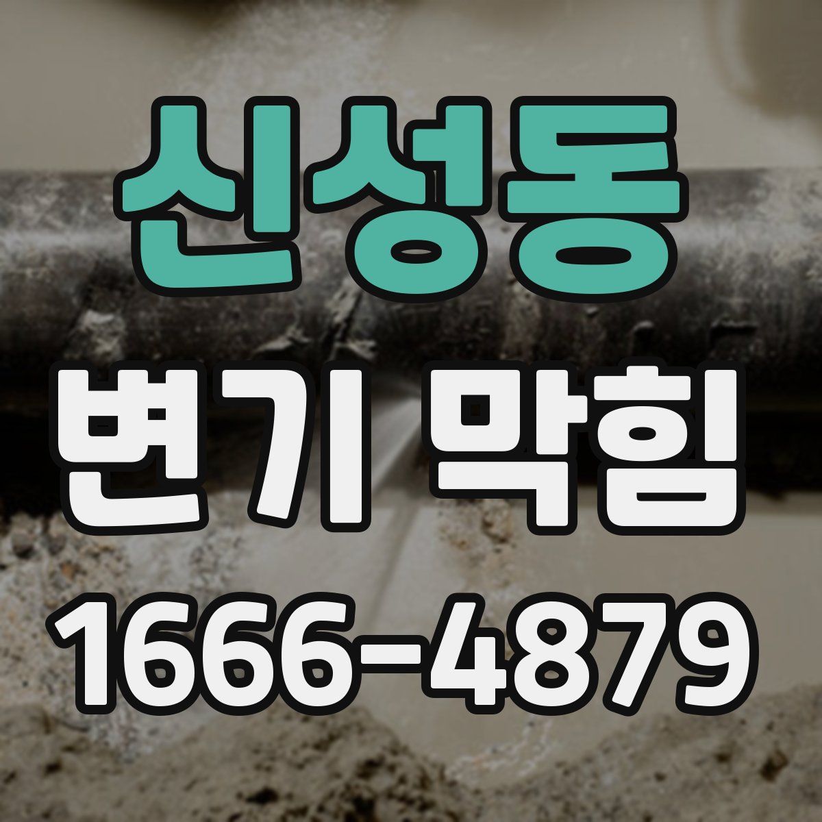 신성동 변기 막힘
