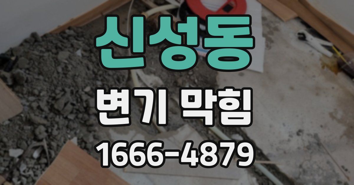신성동 변기 막힘