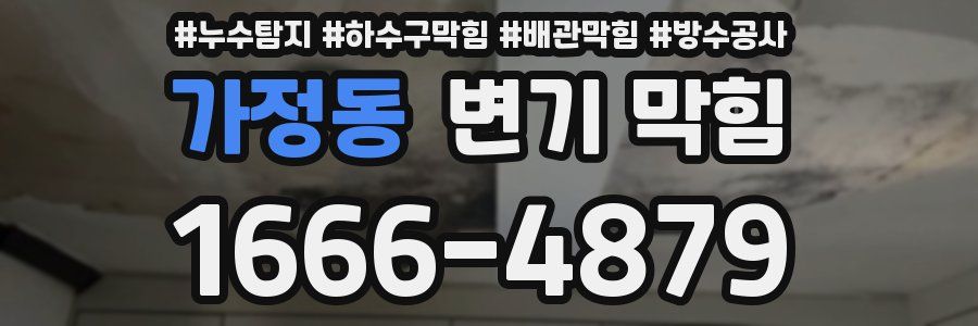 가정동 변기 막힘