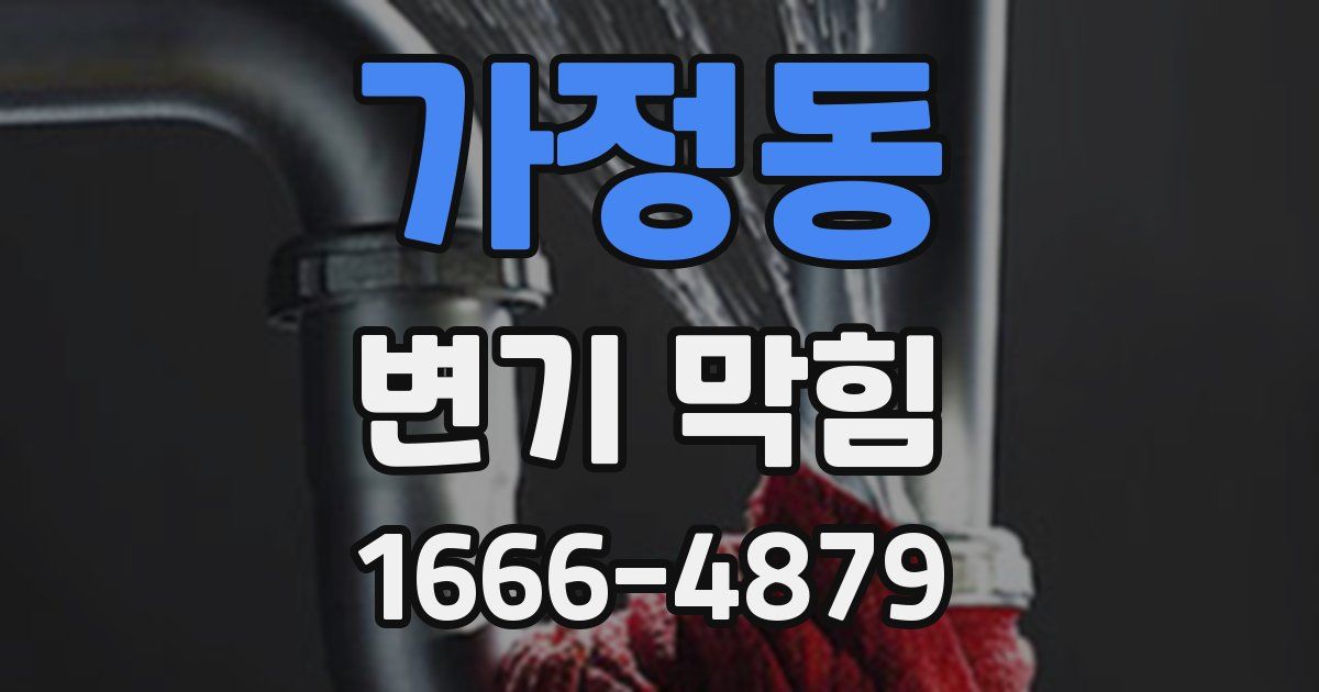 가정동 변기 막힘