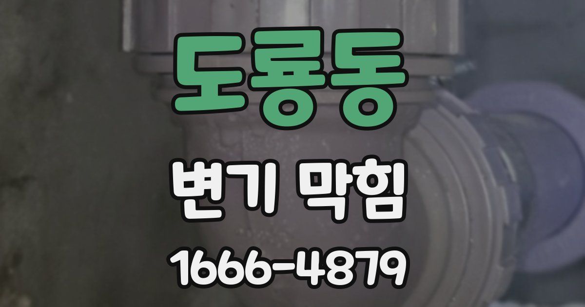 도룡동 변기 막힘