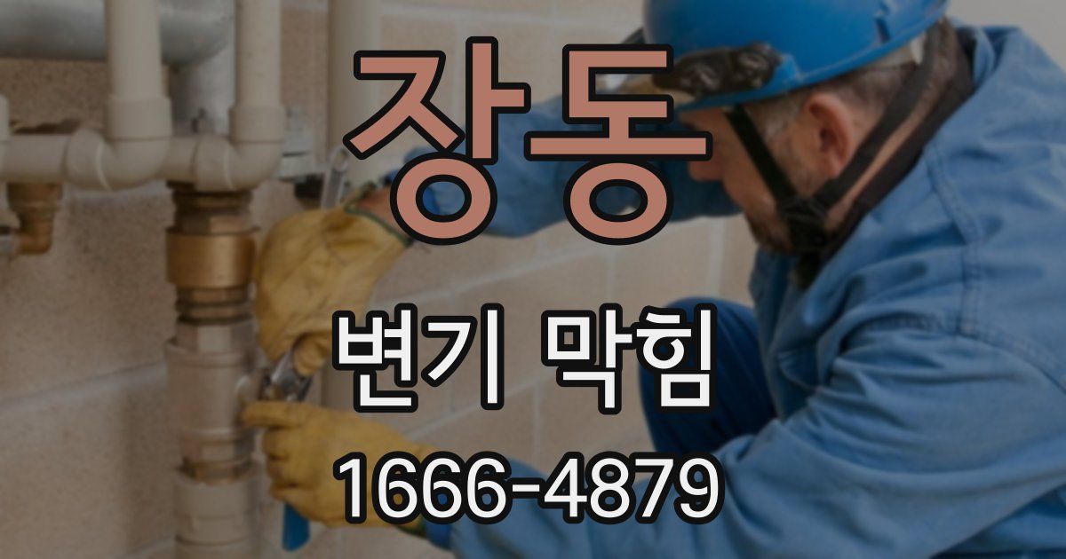 장동 변기 막힘