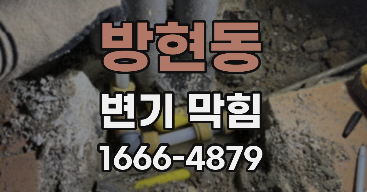 방현동 변기 막힘