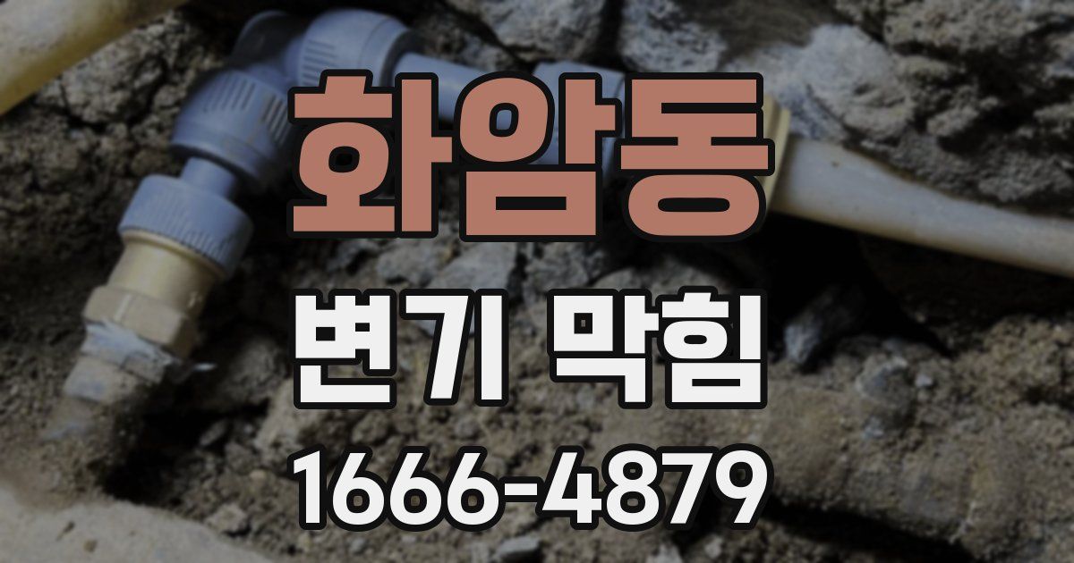 화암동 변기 막힘