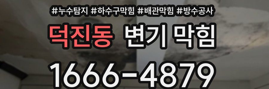 덕진동 변기 막힘