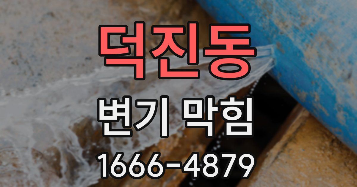 덕진동 변기 막힘