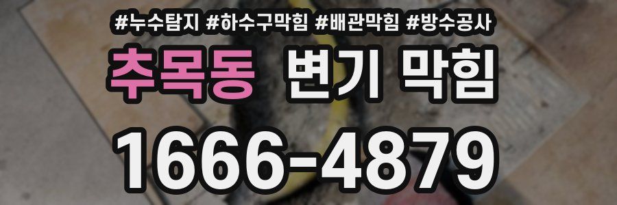 추목동 변기 막힘