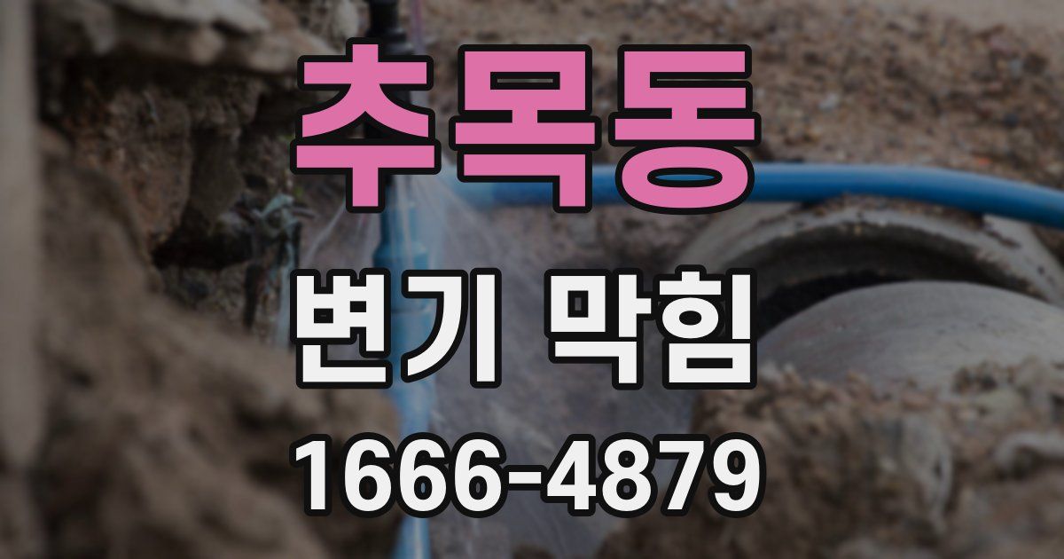 추목동 변기 막힘