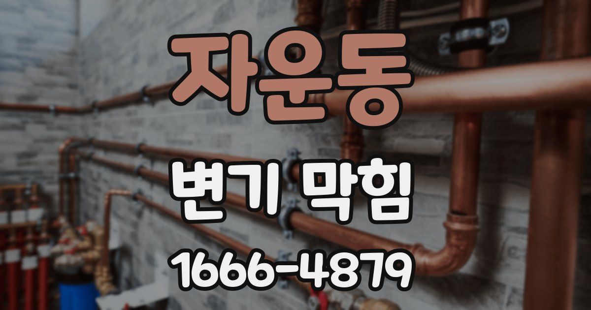 자운동 변기 막힘