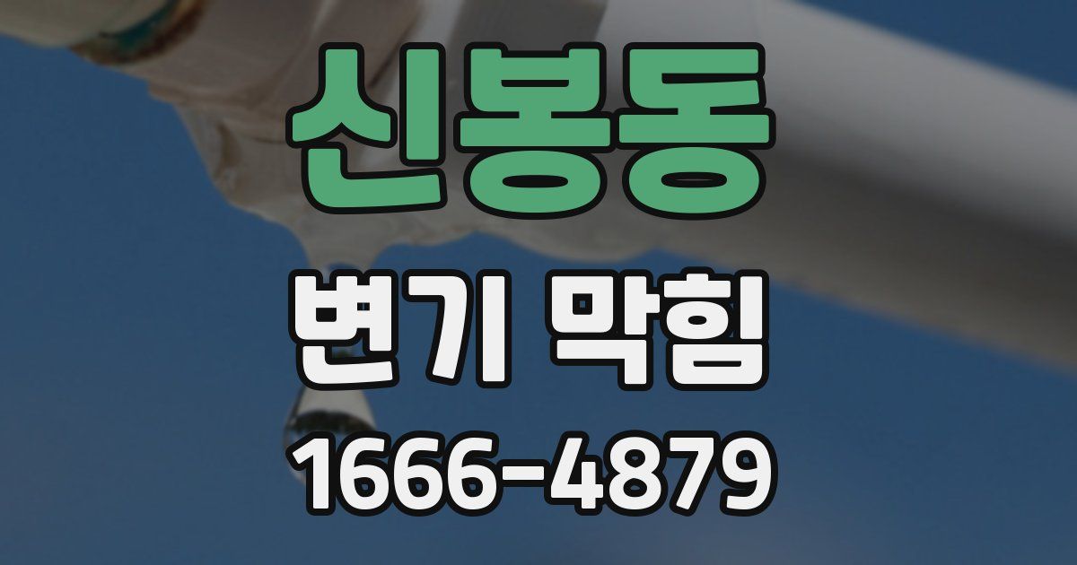 신봉동 변기 막힘