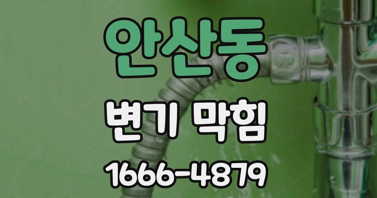 안산동 변기 막힘