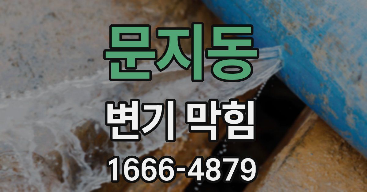 문지동 변기 막힘
