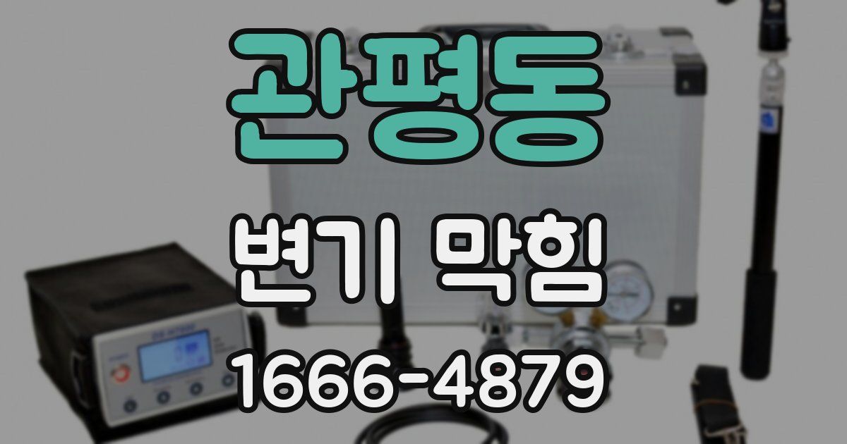 관평동 변기 막힘