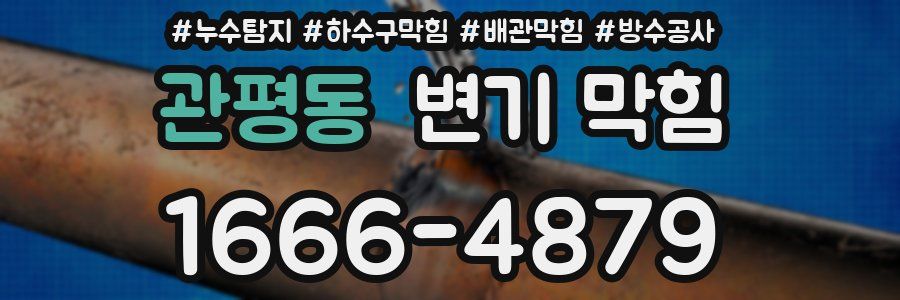 관평동 변기 막힘