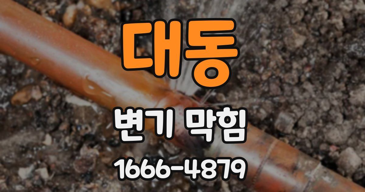 대동 변기 막힘