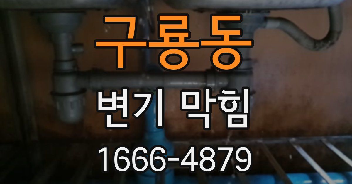 구룡동 변기 막힘