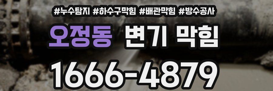 오정동 변기 막힘