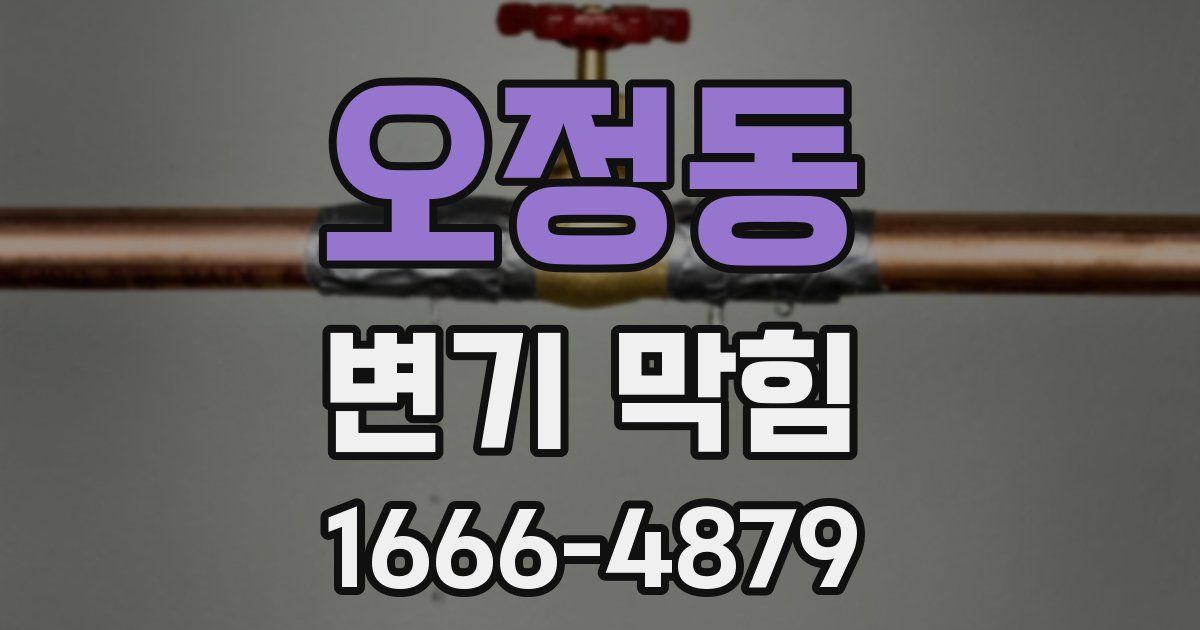 오정동 변기 막힘
