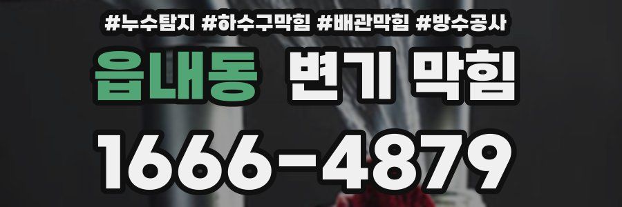 읍내동 변기 막힘
