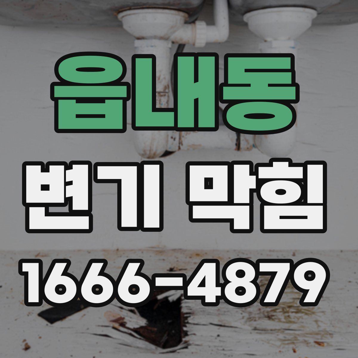 읍내동 변기 막힘