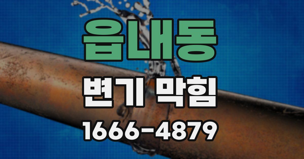 읍내동 변기 막힘