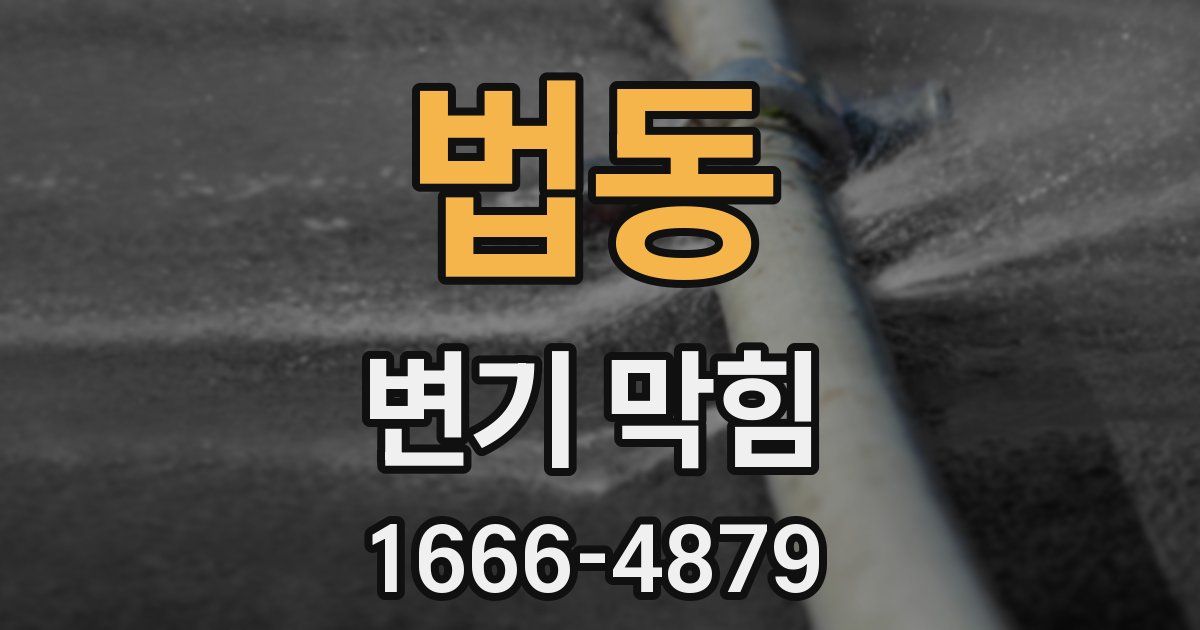 법동 변기 막힘