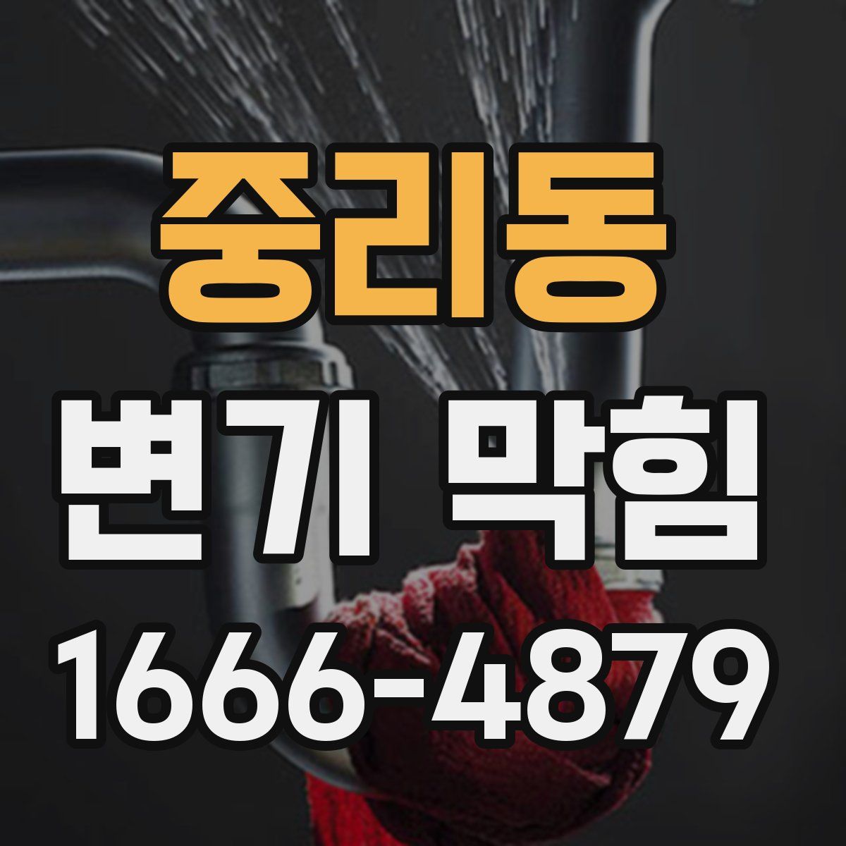 중리동 변기 막힘