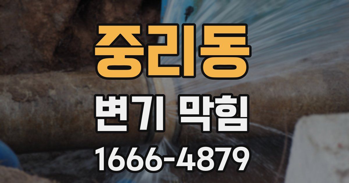 중리동 변기 막힘