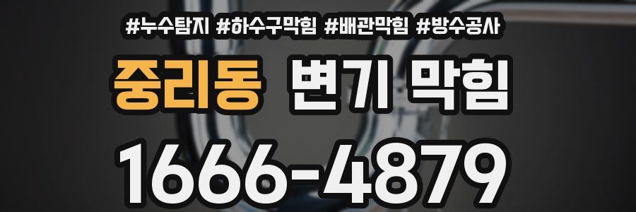 중리동 변기 막힘