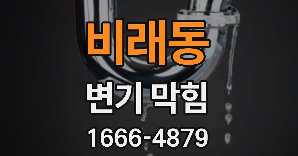 비래동 변기 막힘
