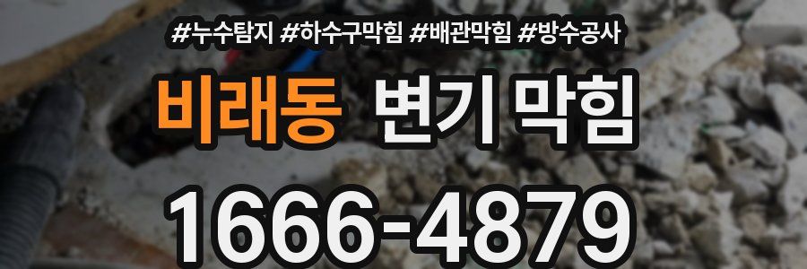비래동 변기 막힘