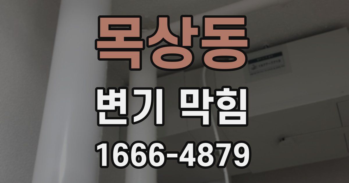 목상동 변기 막힘