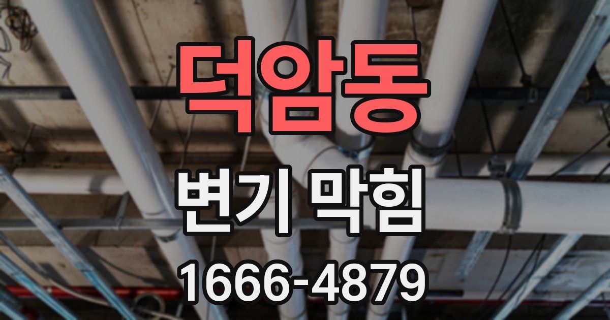 덕암동 변기 막힘