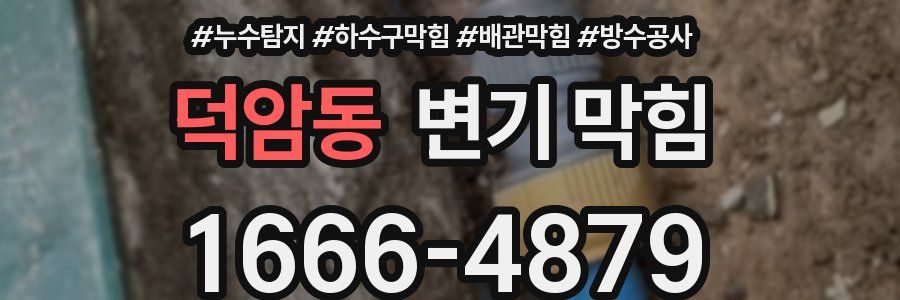 덕암동 변기 막힘