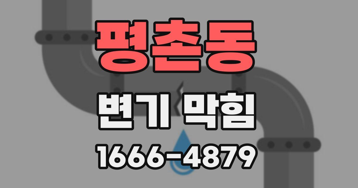 평촌동 변기 막힘