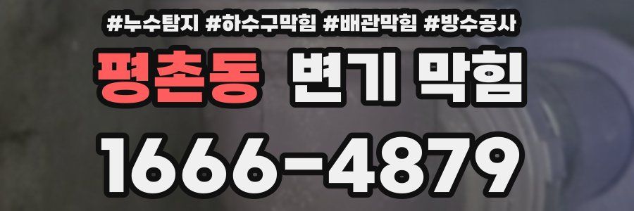 평촌동 변기 막힘