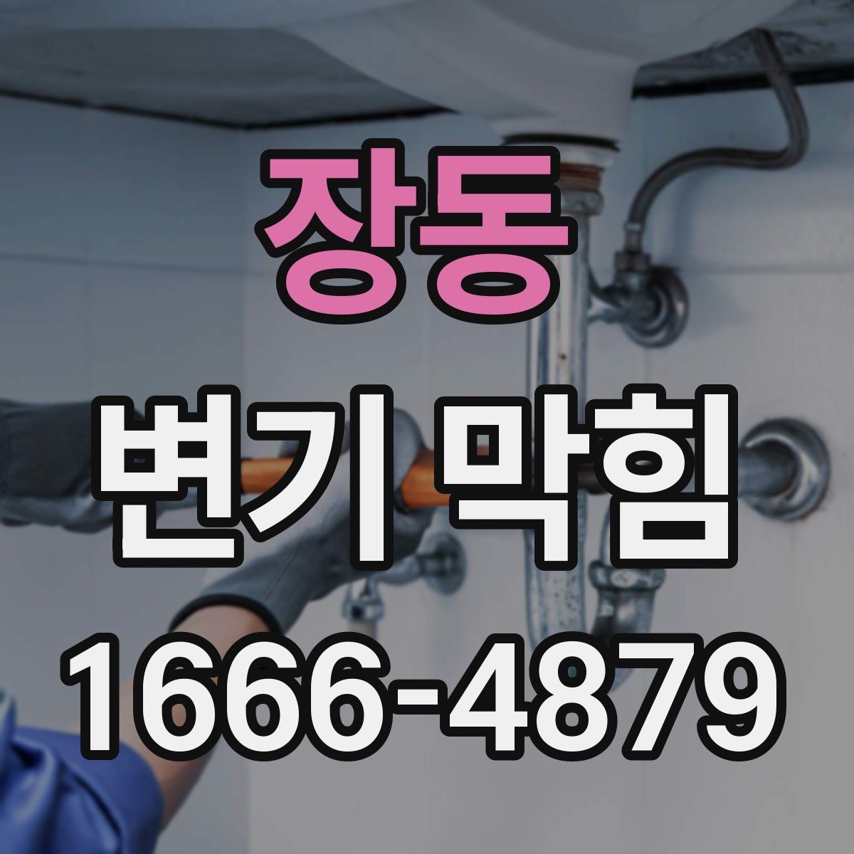 장동 변기 막힘