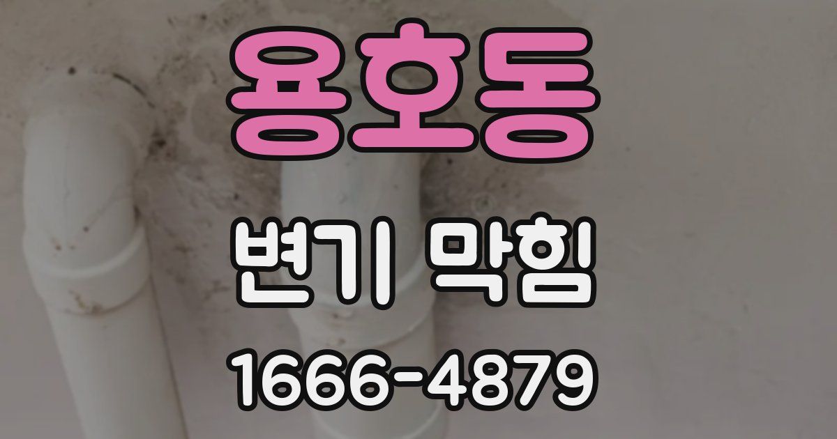 용호동 변기 막힘