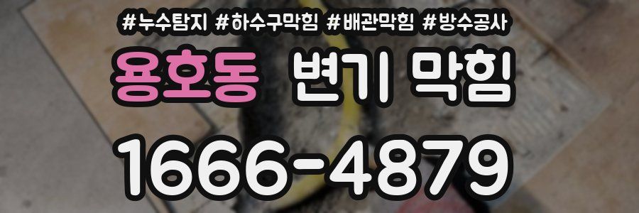용호동 변기 막힘