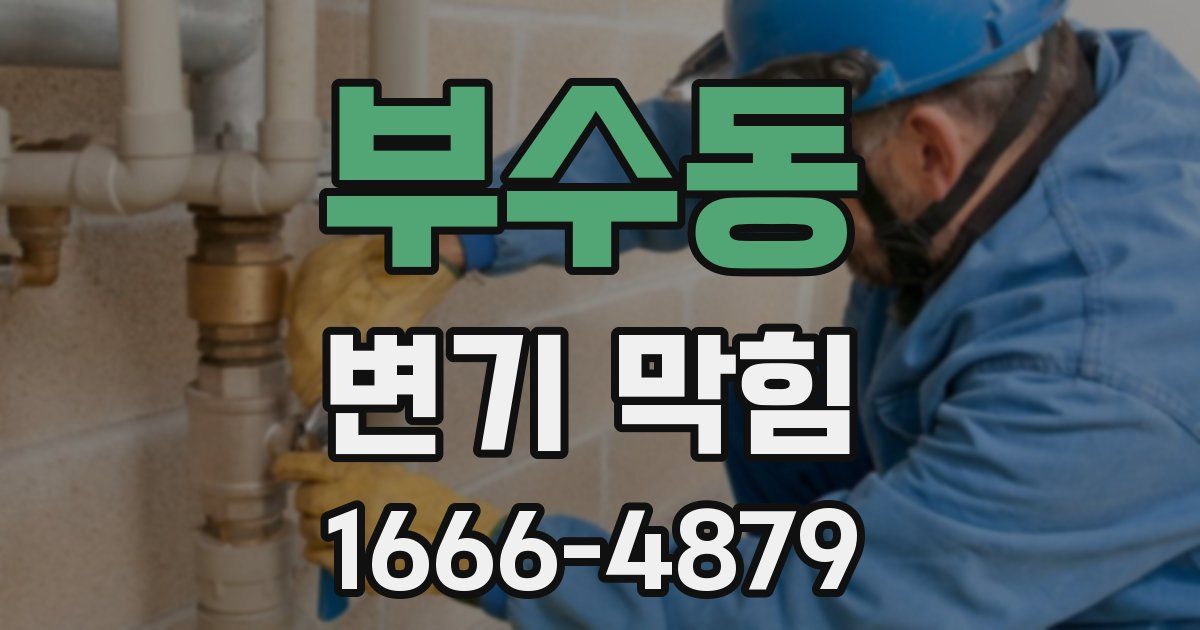 부수동 변기 막힘