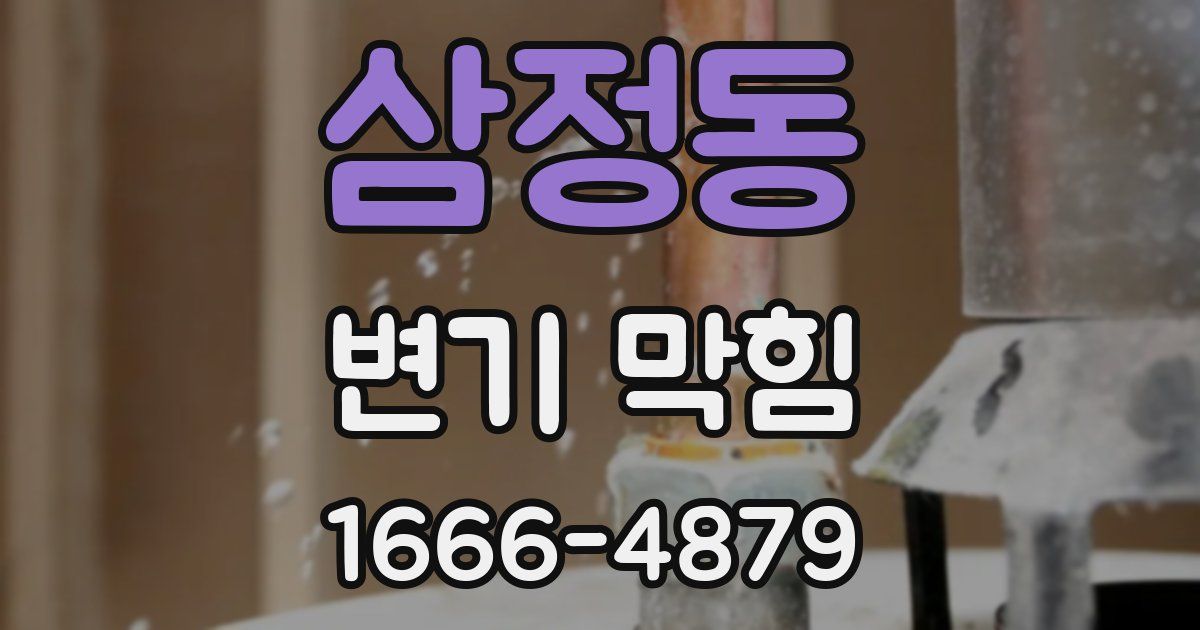 삼정동 변기 막힘